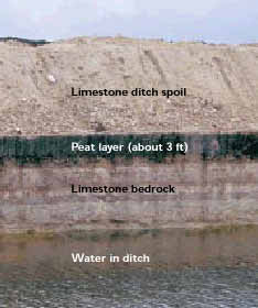 photo of a ditch excavation that shows soil layers
