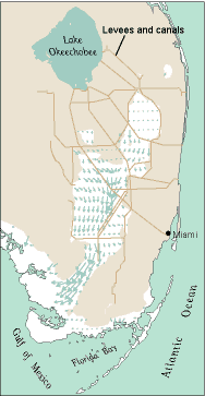 map of south Florida showing current flow patterns (ca. 1990)