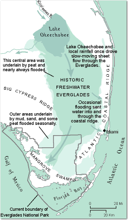 Map showing natural flow patterns in south Florida (c. 1900)