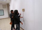IMG 0264