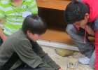 IMG 0663