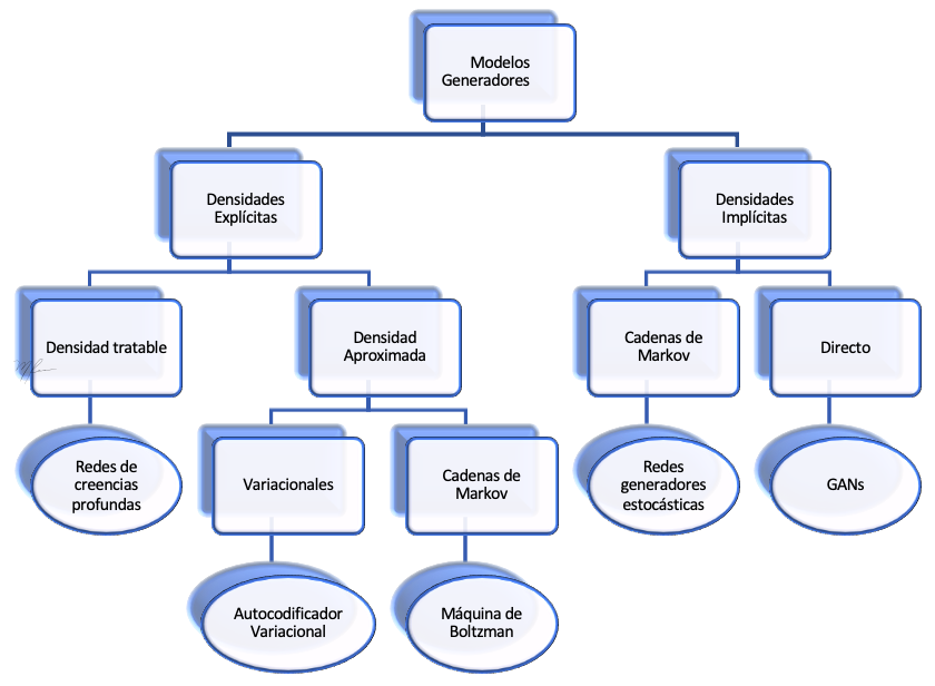 taxonomia