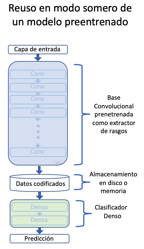 preentrenada_somero